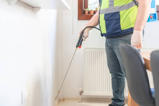 Best Termite Control Services  in Bradford, RI