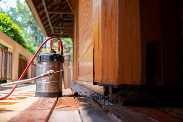 Best Ant Control Services  in Bradford, RI