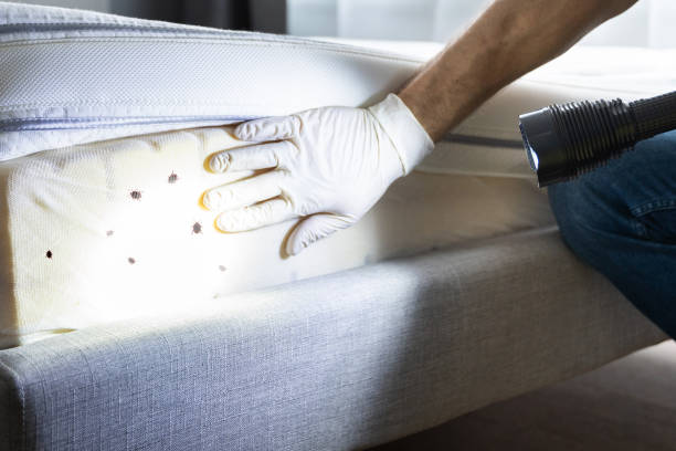 Professional Pest Control in Bradford, RI